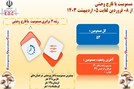 رشد سه برابری مسمومیت با قارچ وحشی/ هشدار برای پرهیز از مصرف قارچ در طبیعت